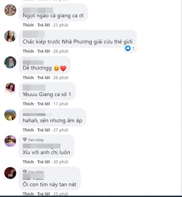 Nhã Phương, Trường Giang, sao Việt