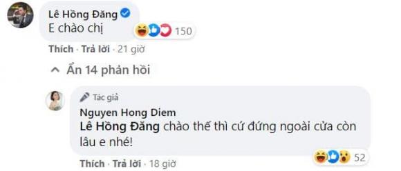 Hồng Diễm, Hồng Đăng, sao việt