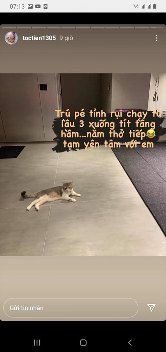 ca sĩ Tóc Tiên, sao Việt