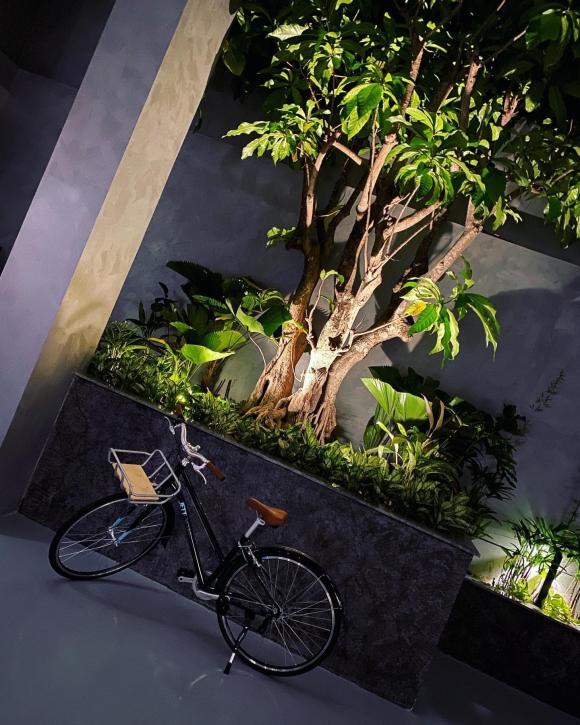 doanh nhân Cường Đô La, ca sĩ Đàm Thu Trang, sao Việt