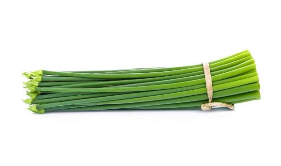 ong vò vẽ, sự nguy hiểm của ong vò vẽ, làm gì khi bị ong vò vẽ đốt