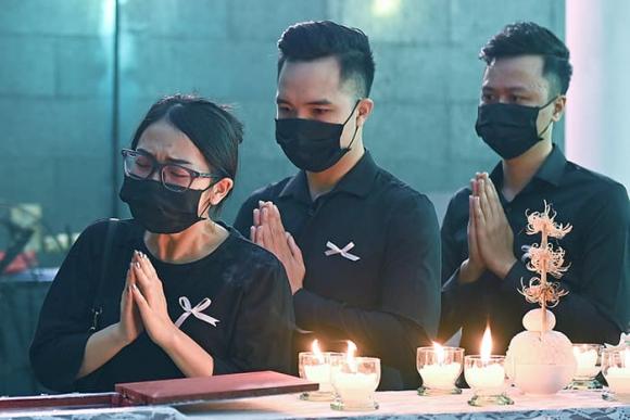 NSƯT Tuấn Phương, sao Việt