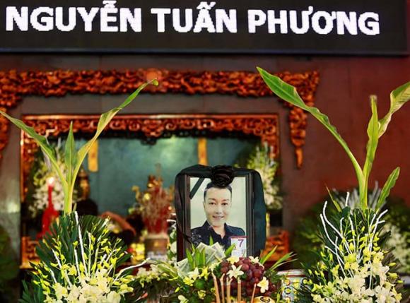 NSƯT Tuấn Phương, sao Việt