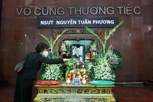 NSƯT Tuấn Phương, sao Việt