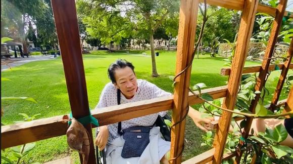 Khoảnh khắc xúc động của nhạc sĩ Lê Quang khi ngồi xe lăn, chúc mừng sinh nhật vợ qua hàng rào bệnh viện