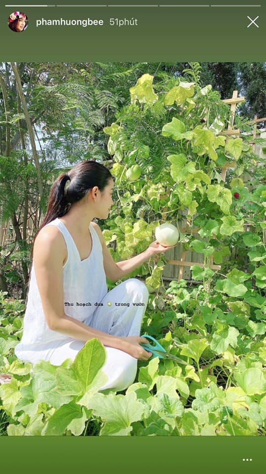 Phạm Hương, Hoa hậu Phạm Hương, Phạm Hương ở Mỹ