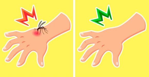 túi trà, công dụng của túi trà