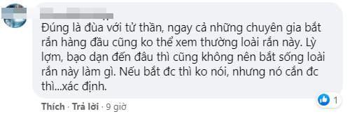 bắt rắn, cô gái bắt rắn, bắt rắn hổ mang 