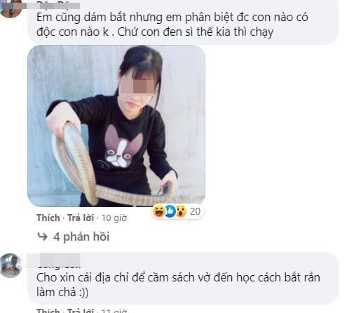 bắt rắn, cô gái bắt rắn, bắt rắn hổ mang 