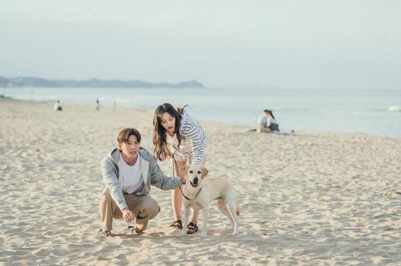 Nữ thần 'Hậu duệ mặt trời' Kim Ji Won cực tình bên mỹ nam Ji Chang Wook trong phim mới được kỳ vọng 'gây sốt' màn ảnh