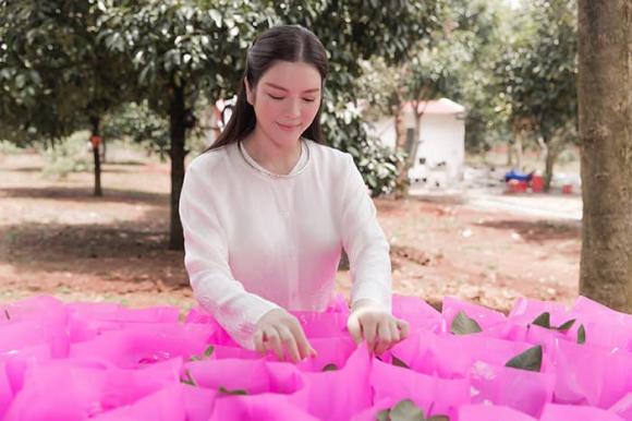 diễn viên Lý Nhã Kỳ, sao Việt