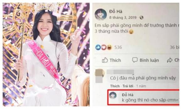 Hoa hậu Đỗ Thị Hà, Hoa hậu Việt Nam 2020, sao Việt