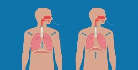 phổi, tốt cho phổi