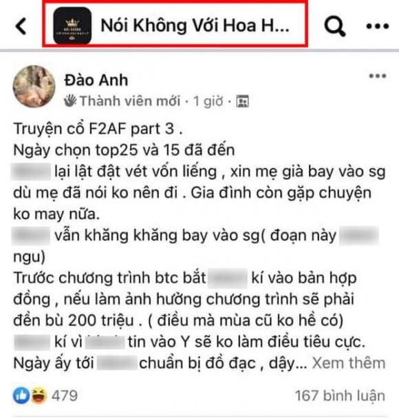 thí sinh chuyển giới, Hoa hậu chuyển giới Hương Giang, Hoa hậu Phương Lê, Đào Anh