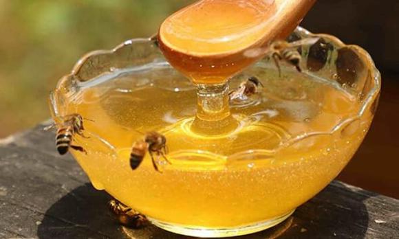 mật ong, nước mật ong, mật ong uống sáng hay tối