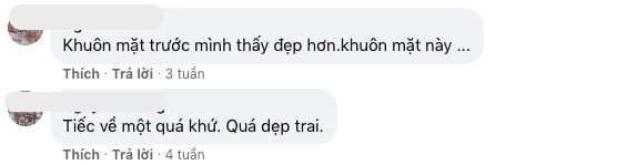 diễn viên Việt Anh, sao Việt