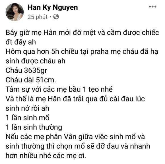 Kỳ Hân, Kỳ Hân sinh con, sao Việt