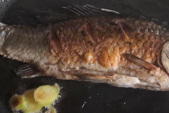món cá, dạy nấu ăn, 