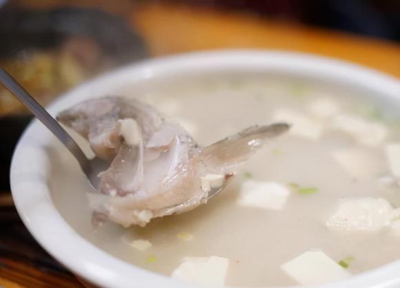 món cá, dạy nấu ăn, 
