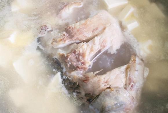 món cá, dạy nấu ăn, 