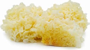 thực phẩm qua đêm, thức ăn thừa, hại sức khỏe