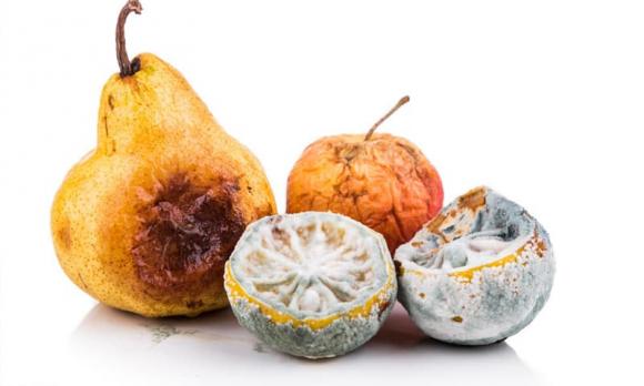 bỏ thuốc lá, tuổi nào tốt để bỏ thuốc lá, cách cai thuốc lá