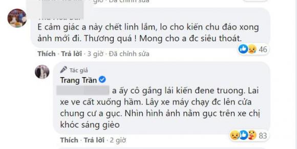 Trang Trần, tài xế của Trang Trần, sao Việt