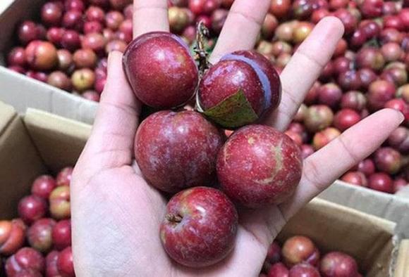 chăm sóc sức khỏe đúng cách, lưu ý khi chăm sóc sức khỏe, loại hoa quả không nên ăn quá nhiều