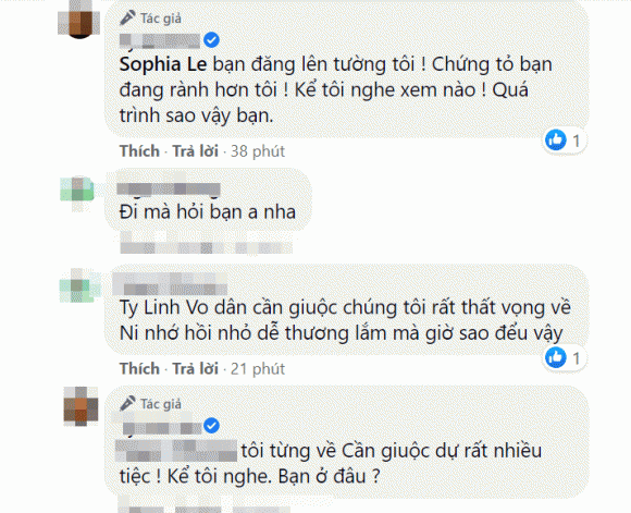 Nam diễn viên, Hoàng Anh, Công - gạo nếp gạo tẻ, ly hôn, Quỳnh Như, 