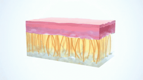 nữ diễn viên hoa ngữ, giang sơ ảnh, cbiz