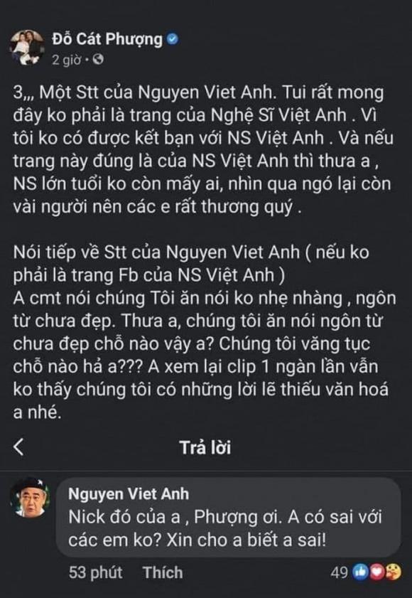 Việt Anh, nghệ sĩ Việt Anh, Cát Phượng, ồn ào, chỉ trích, 