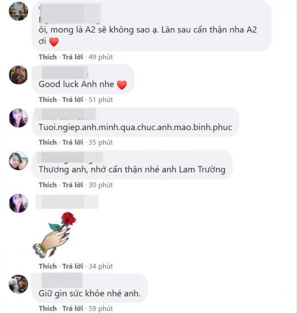 ca sĩ Lam Trường, Lam Trường, sao Việt