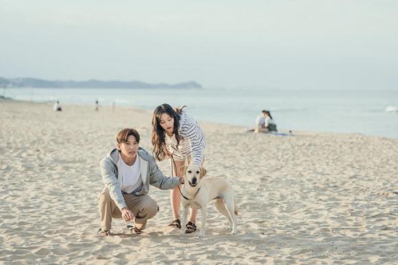 Kim Ji Won hèn hò Ji Chang Wook , Kim Ji Won , Ji Chang Wook , Lovestruck in the City, sao Hnaf, phim Hàn