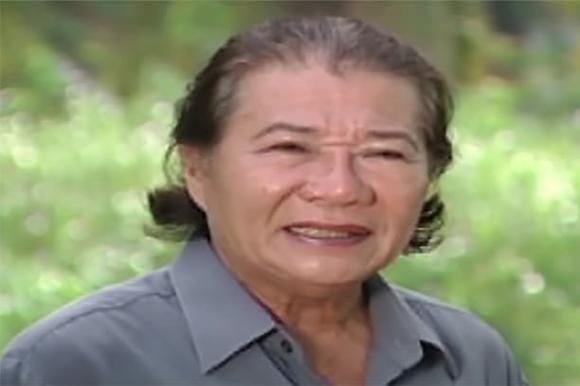 Hề Sa, Hề Sa qua đời, sao việt  