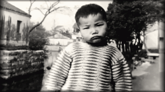 bại não, khuyết tật, chủ công ty