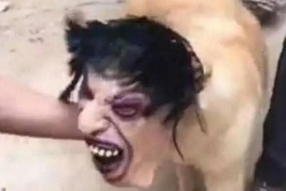 câu chuyện thú vị, cách đề phòng trộm chó, trộm chó