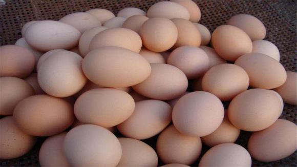 trứng, lưu ý khi ăn trứng, sức khỏe