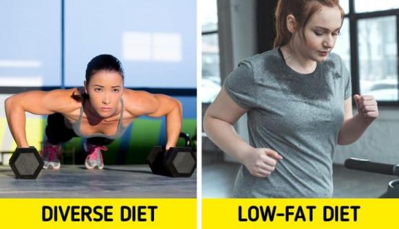 ăn chất béo, ngừng ăn chất béo, sức khỏe 