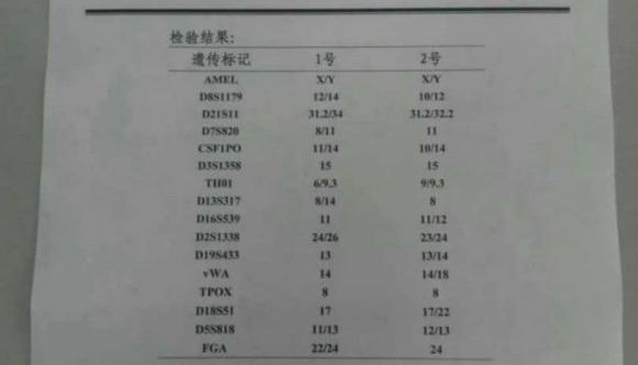 xét nghiệm adn, chimerism ở người, chimerism là gì