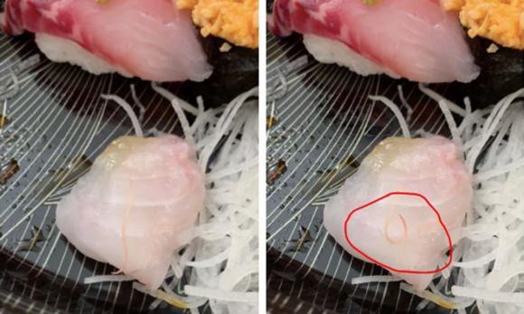 sushi có giun, phát hiện món sushi hơn 2 triệu đồng có giun ngo ngoe, cách làm sushi
