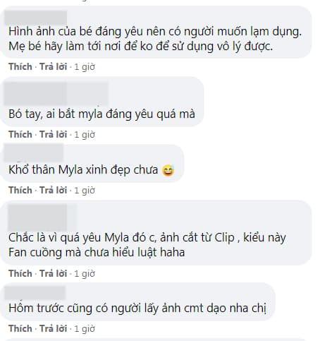 siêu mẫu Hà Anh, Hà Anh, sao Việt