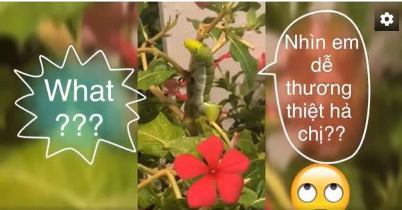 Thủy Tiên, ca sĩ Thủy Tiên, sao Việt