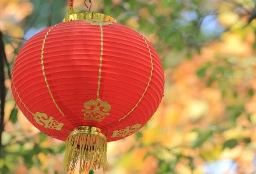 tử vi, con giáp, tháng một
