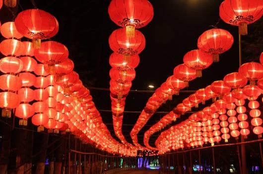 tử vi, con giáp, tháng một