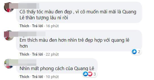 Quang Lê, Quang Lê nhuộm tóc, sao việt  