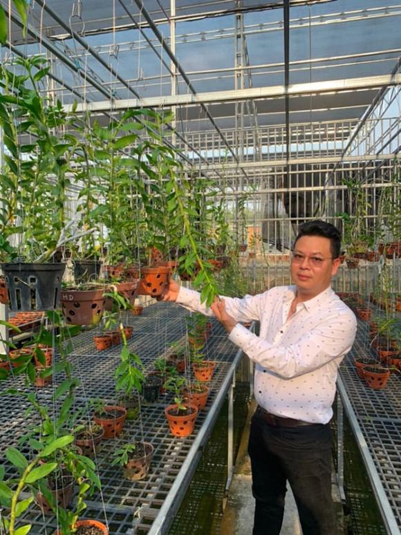 Phạm Thành Luật, lan đột biến, phi điệp cánh trắng