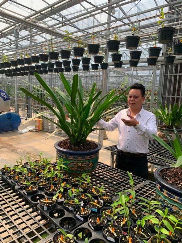 Phạm Thành Luật, lan đột biến, phi điệp cánh trắng