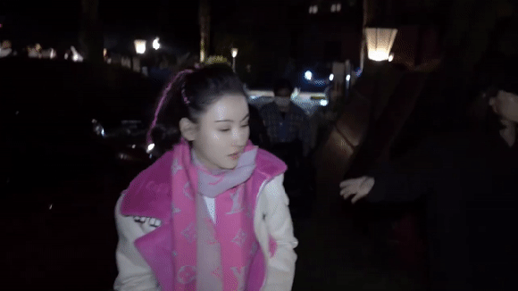 trương bá chi, nhan sắc trương bá chi, tạ đình phong