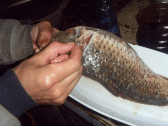 cách khử mùi tanh của cá, món ngon, cách làm sạch cá