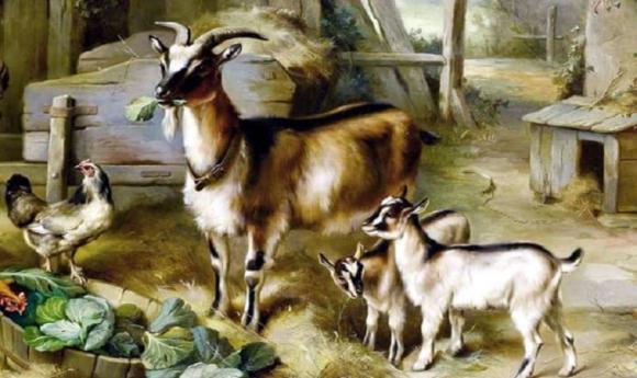 tử vi 12 con giáp, tử vi năm 2021, con giáp may mắn cuối tuần